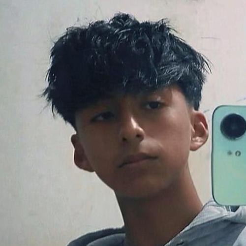 User Image