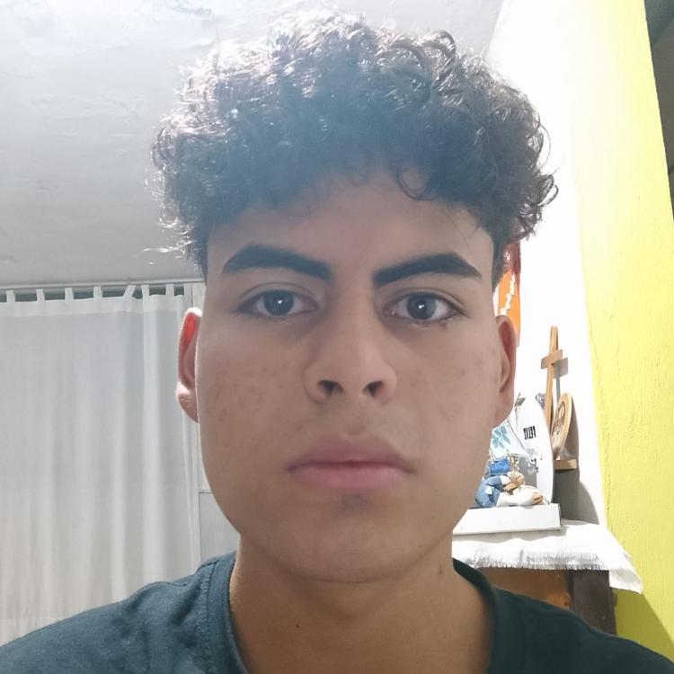 User Image