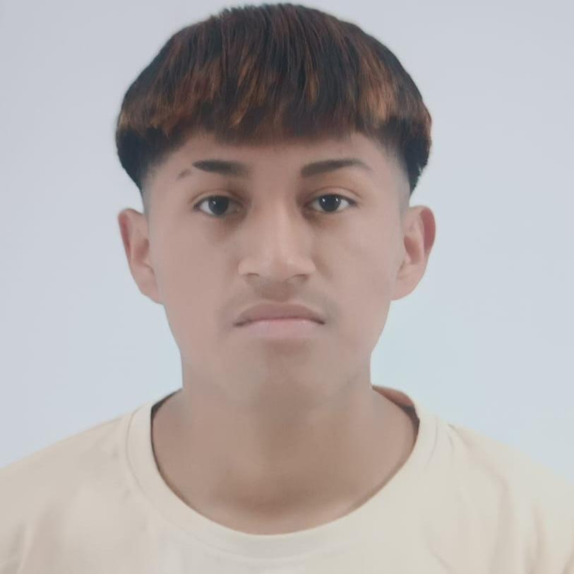 User Image